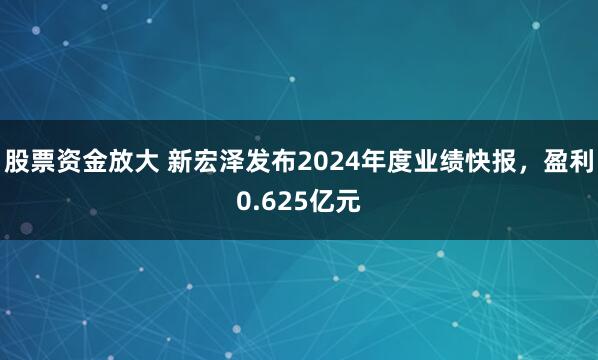 股票资金放大 新宏泽发布2024年度业绩快报，盈利0.625亿元
