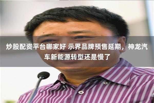 炒股配资平台哪家好 示界品牌预售延期，神龙汽车新能源转型还是慢了
