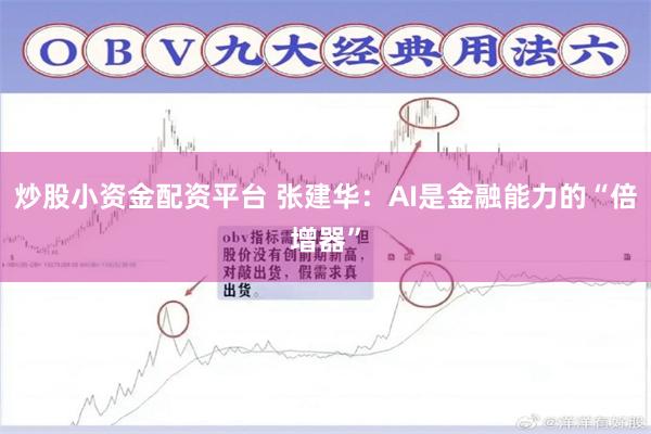 炒股小资金配资平台 张建华：AI是金融能力的“倍增器”