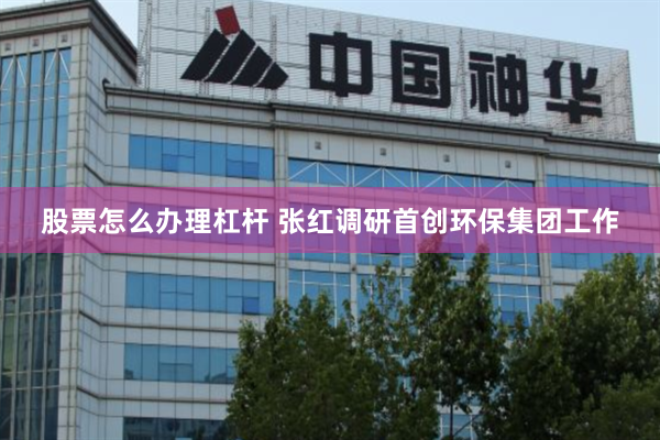 股票怎么办理杠杆 张红调研首创环保集团工作