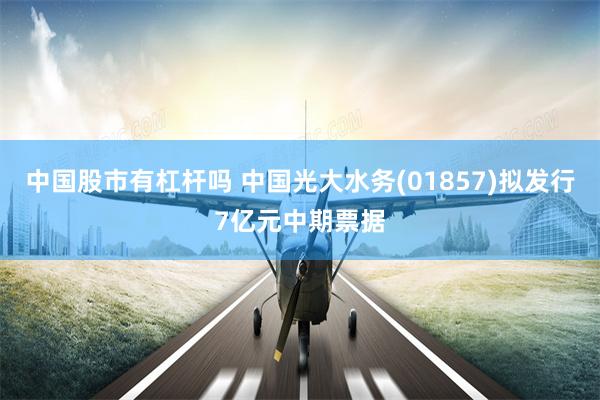 中国股市有杠杆吗 中国光大水务(01857)拟发行7亿元中期票据
