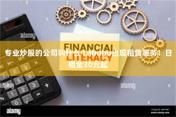 专业炒股的公司叫什么 Labubu出现租赁服务！日租金30元起