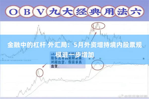 金融中的杠杆 外汇局：5月外资增持境内股票规模进一步增加