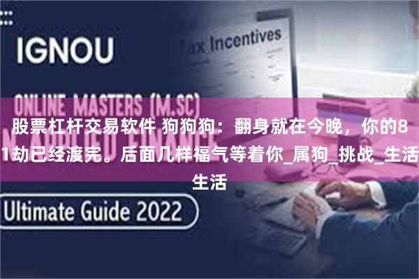 股票杠杆交易软件 狗狗狗：翻身就在今晚，你的81劫已经渡完。后面几样福气等着你_属狗_挑战_生活
